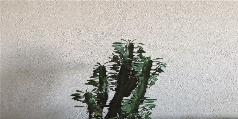 李居明谈饿木命饿火命改运学图文版详解