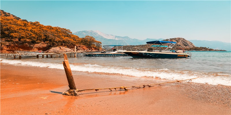 李居明谈饿木命饿火命改运学图文版详解