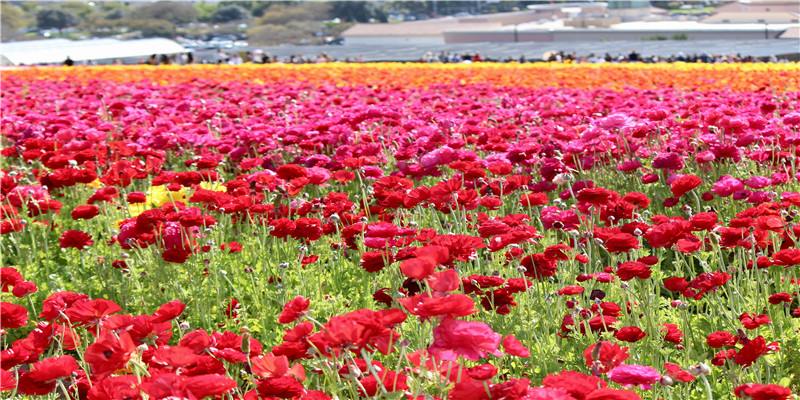 一招改运!财富逆袭,就是这么简单