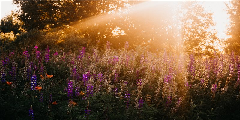 起名5300，续命1次500万！原来做风水佬最赚钱！