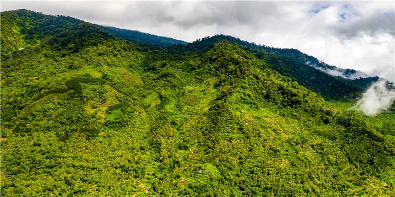 李居明谈饿木命饿火命改运学图文版详解