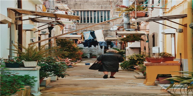 把生肖文化传递给孩子——《十二生肖谁第一》导读