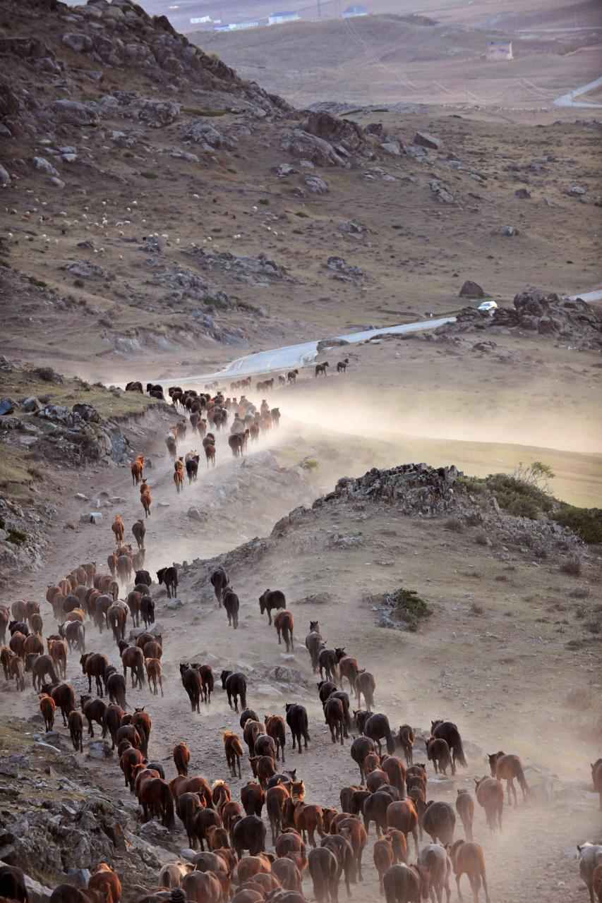 978年属马女一生运势