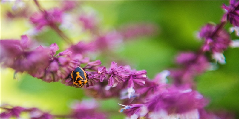 7月15民间“鬼节”孩子出生天生阴阳眼,通灵者遇到的一些灵异