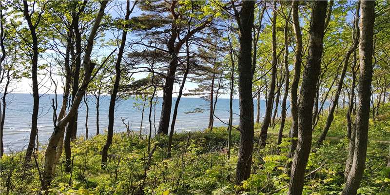 三步帮你选到好风水的住宅