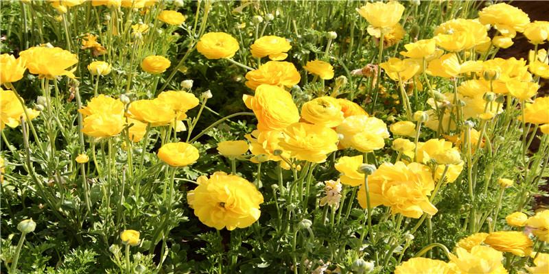 “金鼠宝宝”这4个月份出生福气满满，妈妈遭罪少，宝宝也更健康