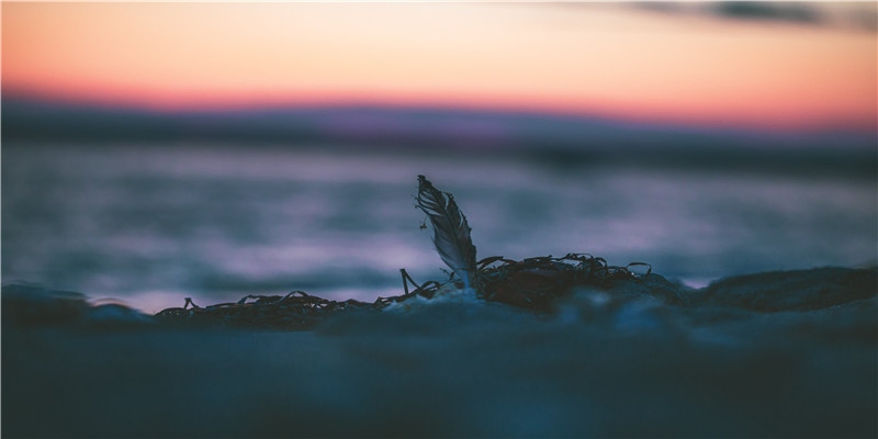 命理解读黄晓明杨颖今年适婚与否