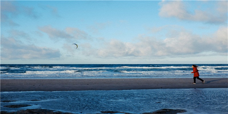 李居明谈饿木命饿火命改运学图文版详解