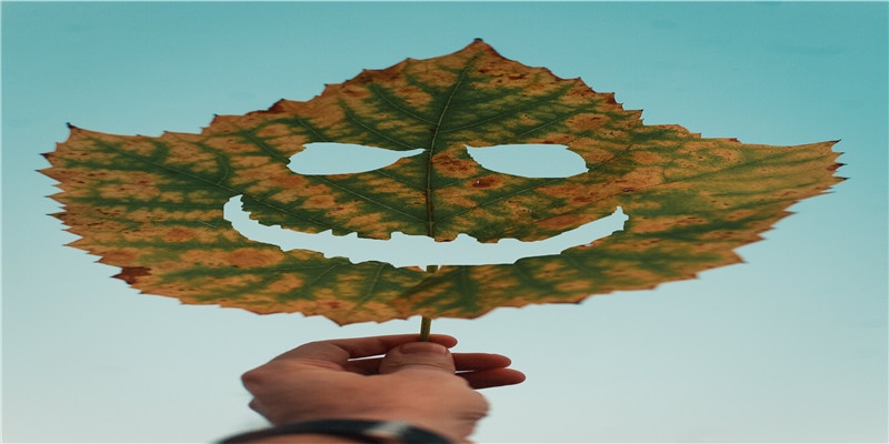 李居明谈饿木命饿火命改运学图文版详解