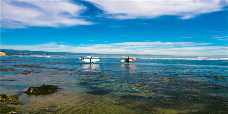 李居明谈饿木命饿火命改运学图文版详解