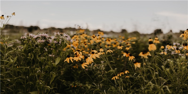 鼻梁不高的女生到底可以有多好看？（塌鼻梁自救指南）