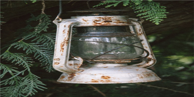 李居明谈饿木命饿火命改运学图文版详解