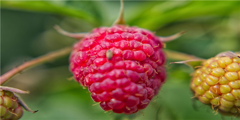 寒热命与饿命——看完之后你也会算命了!