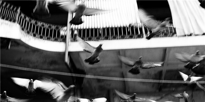 各家公司的会议室都是怎么命名的？