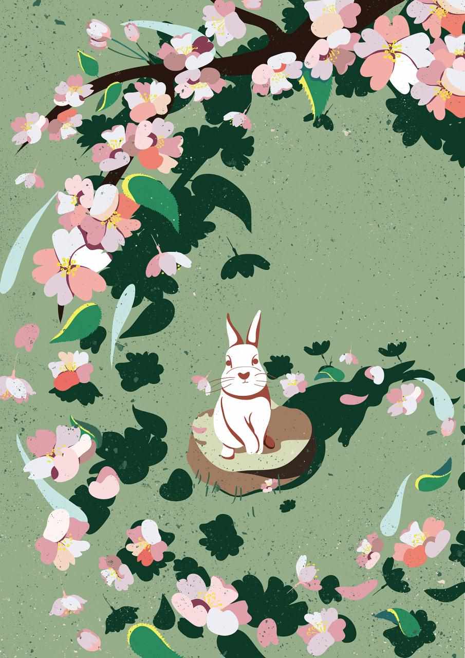 5年属兔今天的财运如何