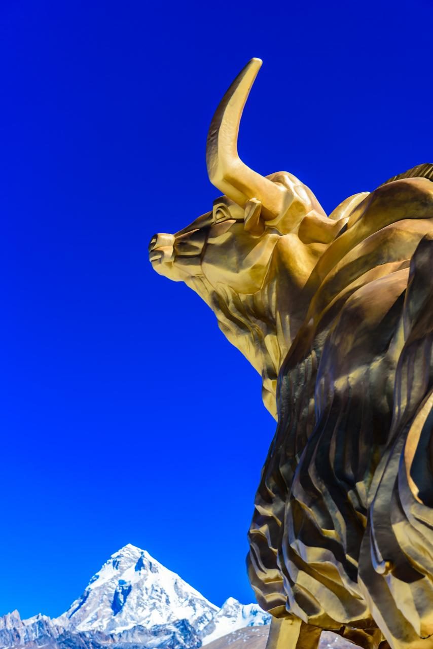 牛年生人2022年的运程 六一年属牛人2022年运势