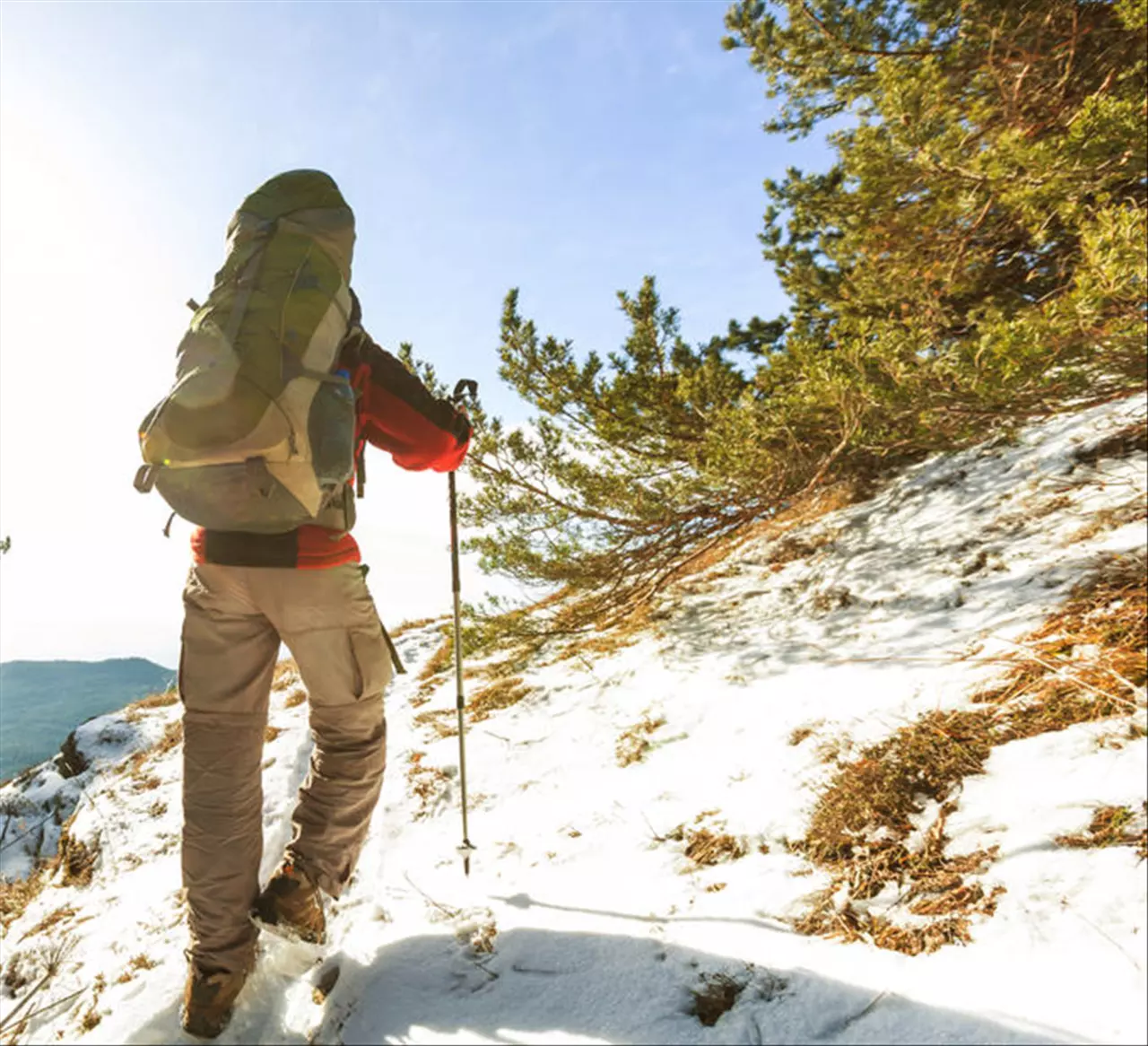 997属牛今年运势
