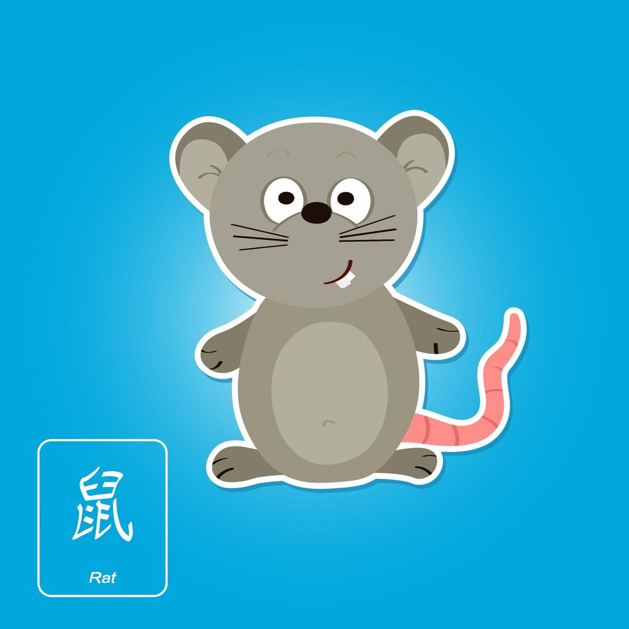 十二属相的年龄表 婚配八字合婚表