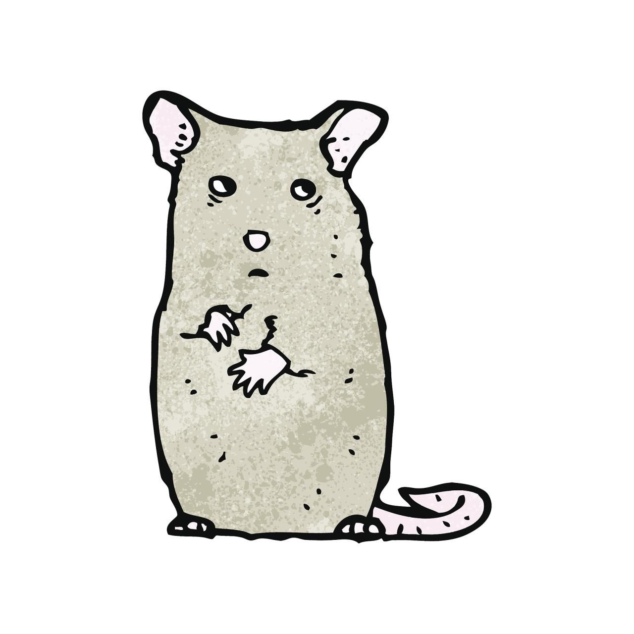 972属鼠2022年全年运程