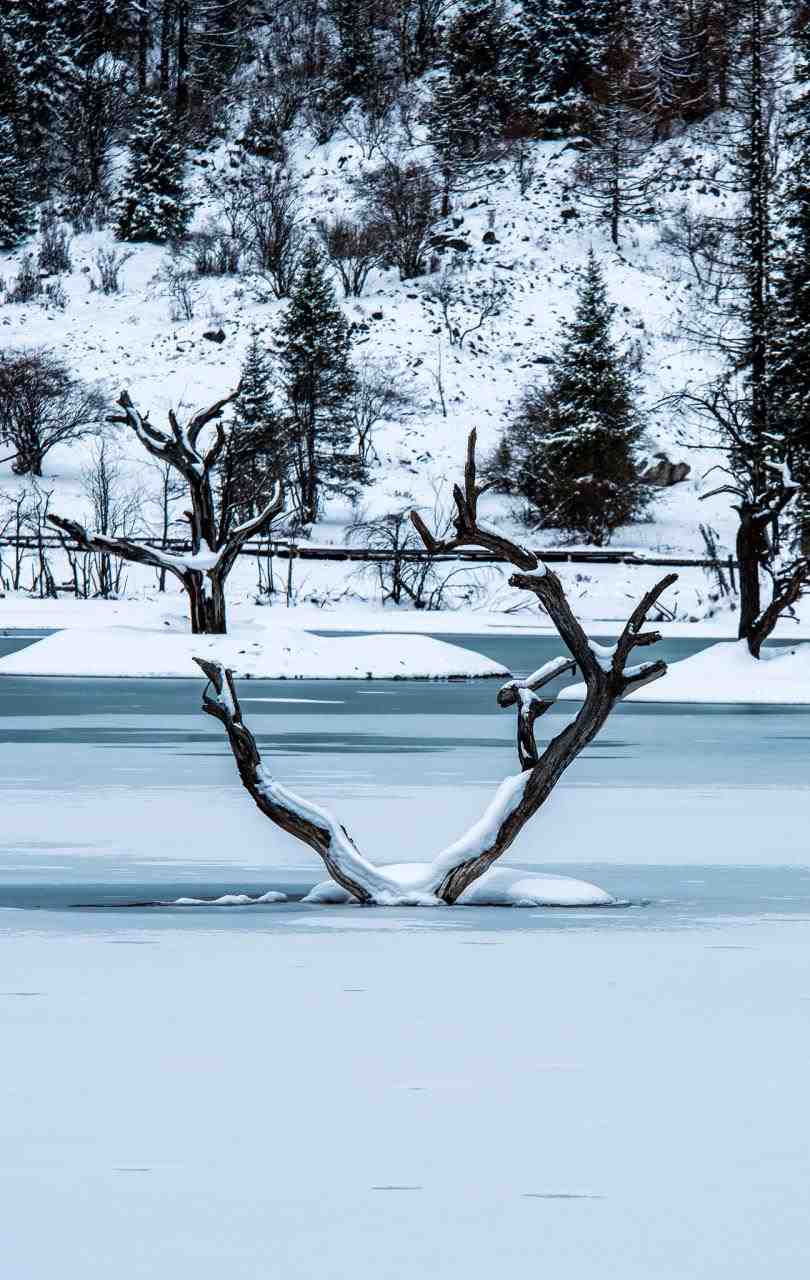 罕见情侣网名好听一对 情侣网名古风诗意