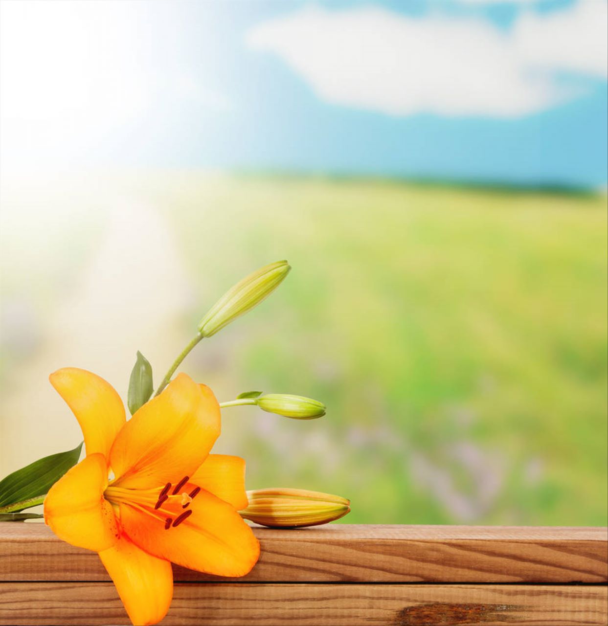 妈妈给女儿最暖心短句 妈妈送给女儿的成长寄语