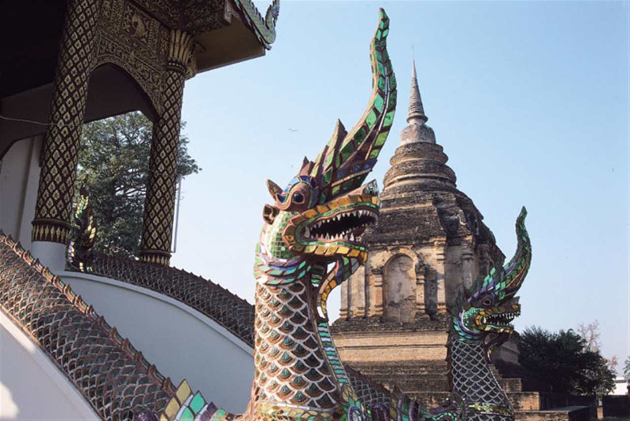 024龙是百年难遇吗 2024年的龙命运"