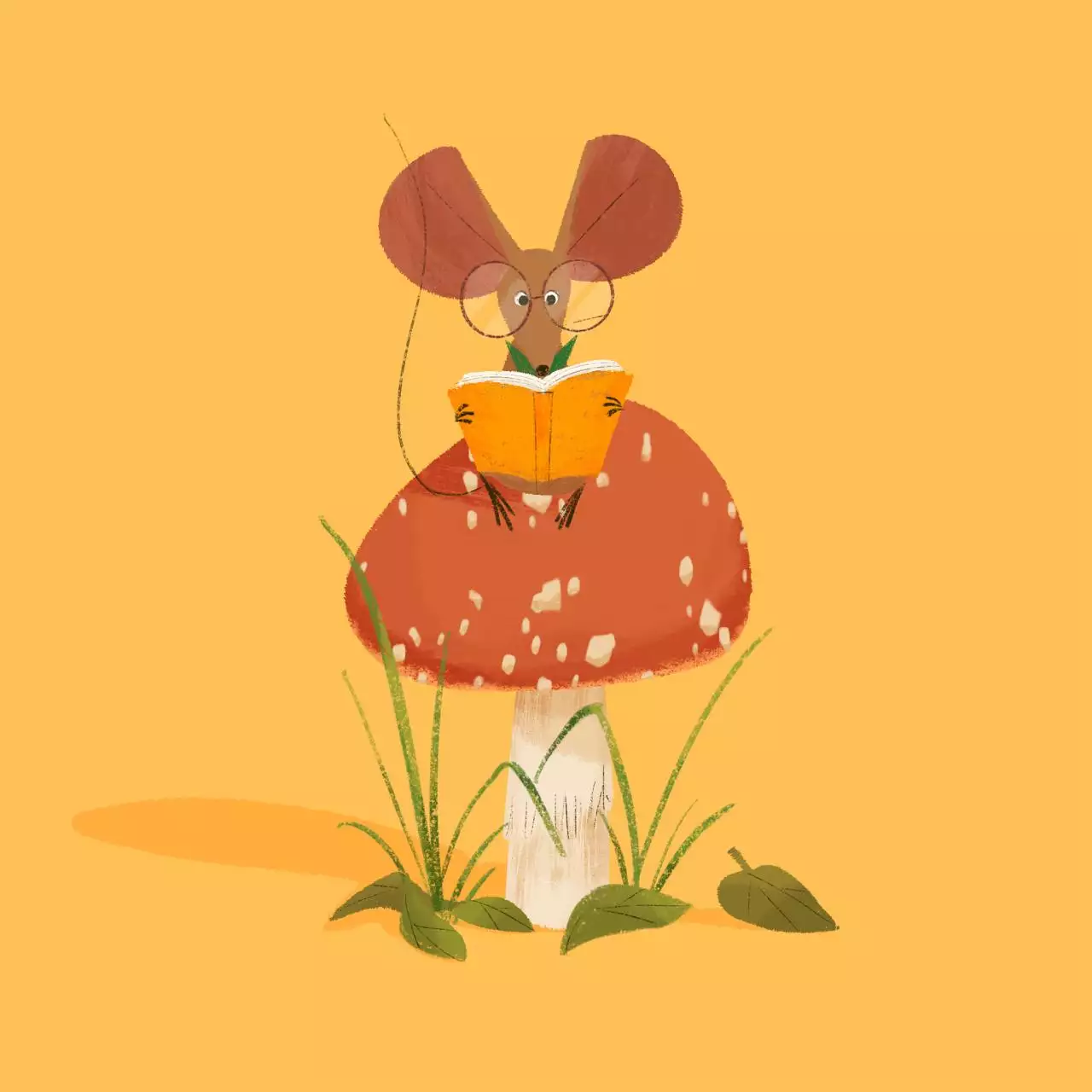 022属相月份运势及运程