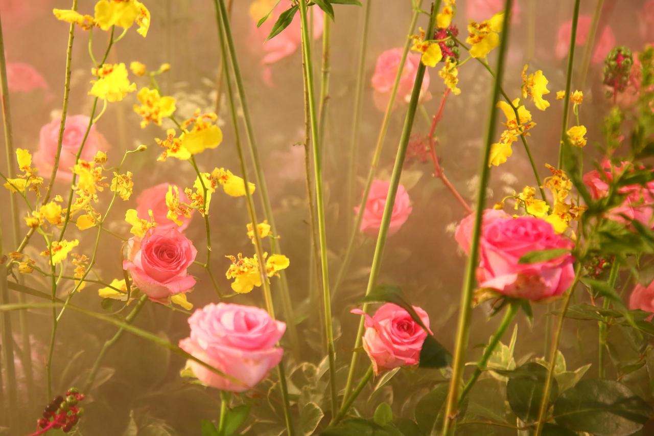 相亲第一次见面聊20个话题 第一次相亲见面怎么聊