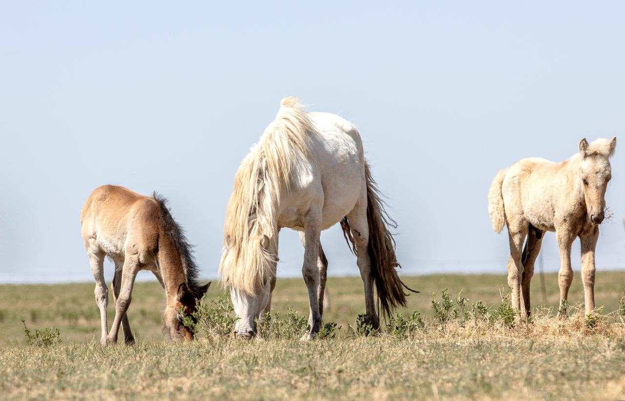990年属马什么时候开始走运 1990年属马什么时候发财"