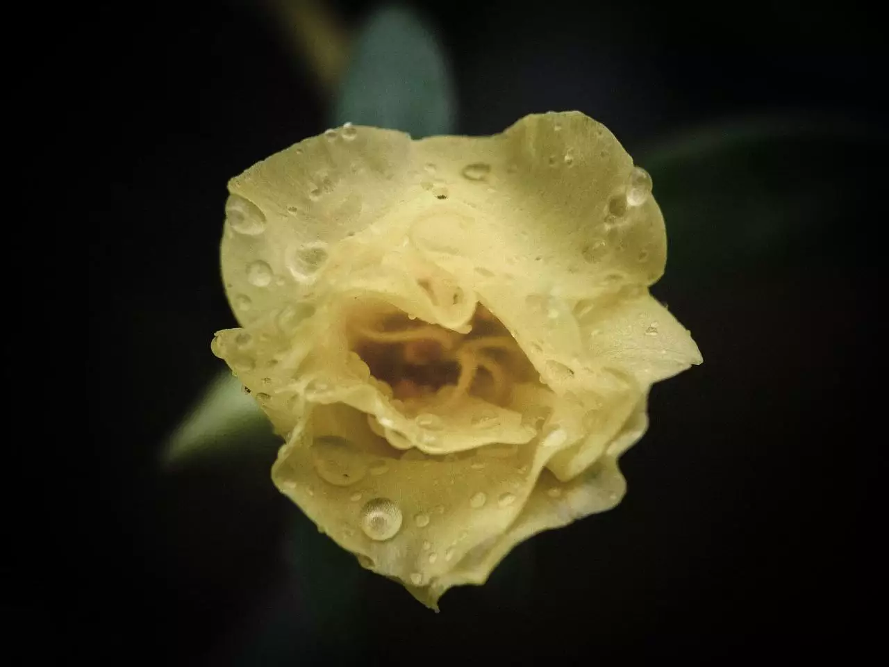 免费算命2022年运势 免费测个人婚姻不付费