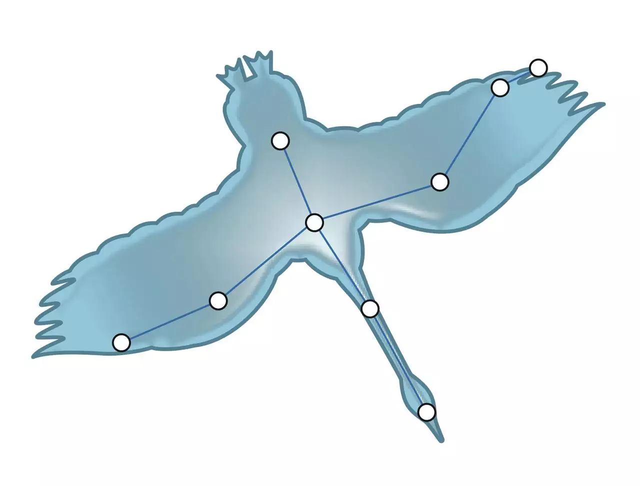 怎样查星盘查询星盘 金星落入第9宫惊为天人