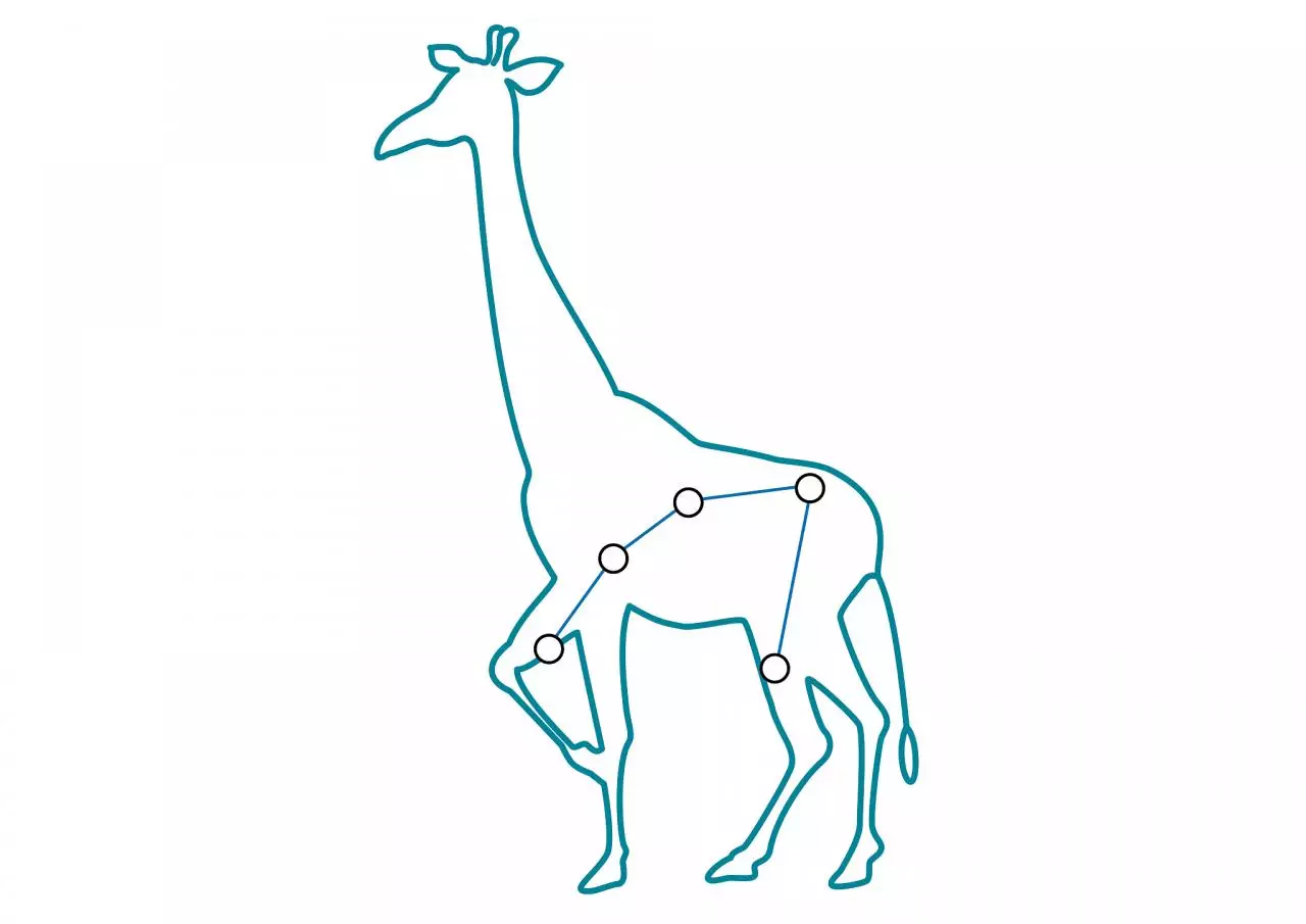 每个星座的特点和性格 星座解释人的性格