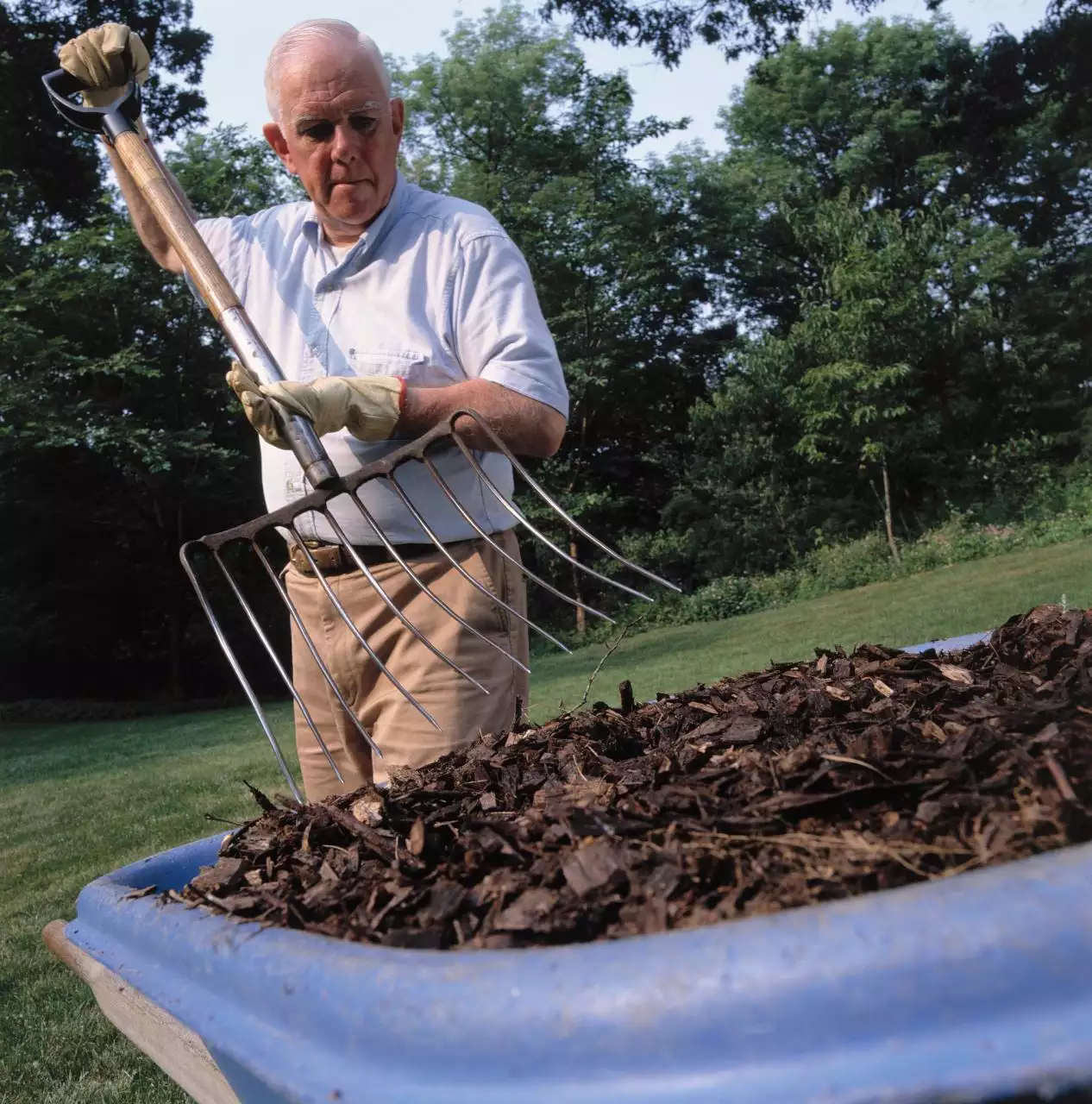 玛法达2022年星座运势排行 玛法达星座最新一周运势