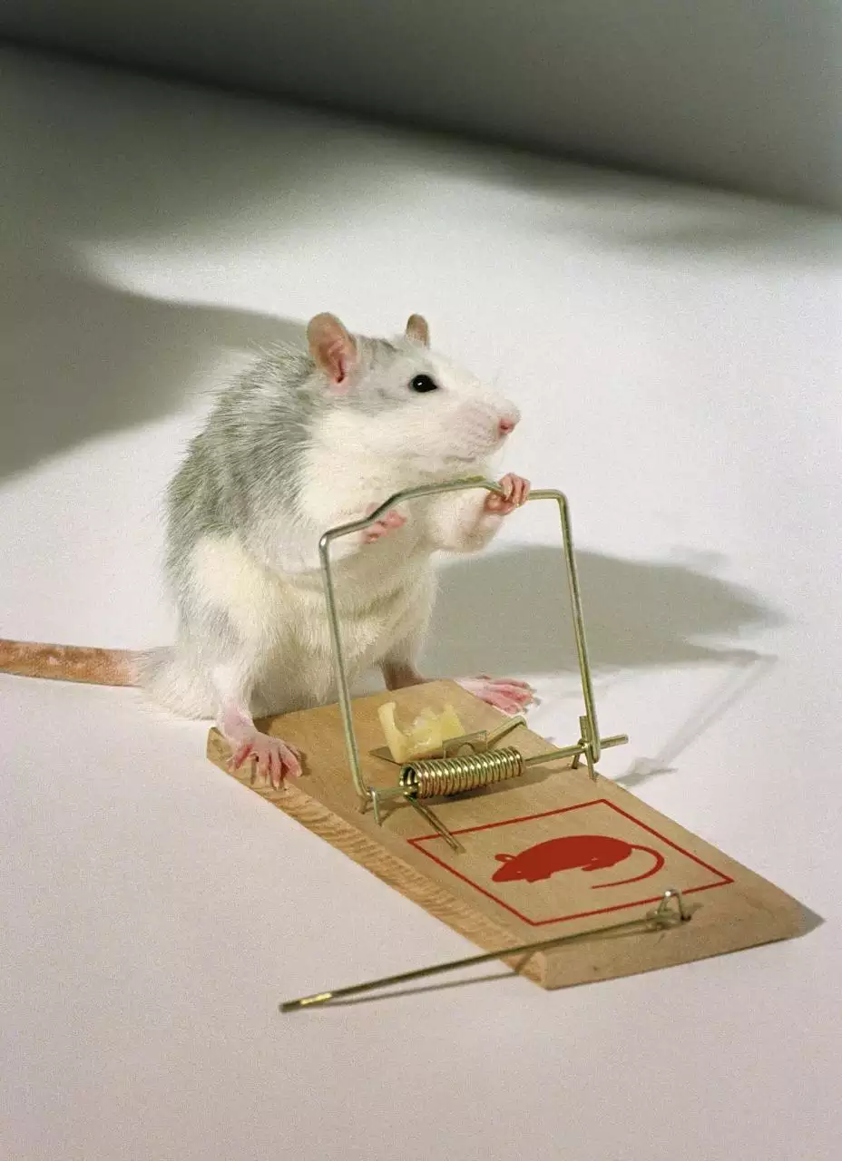 022年运势生肖运势详解