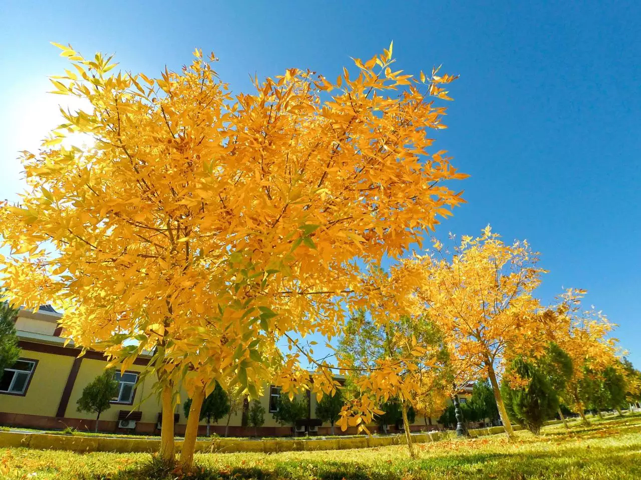 喜欢你的男生见你有什么反应 男生开始喜欢你的表现