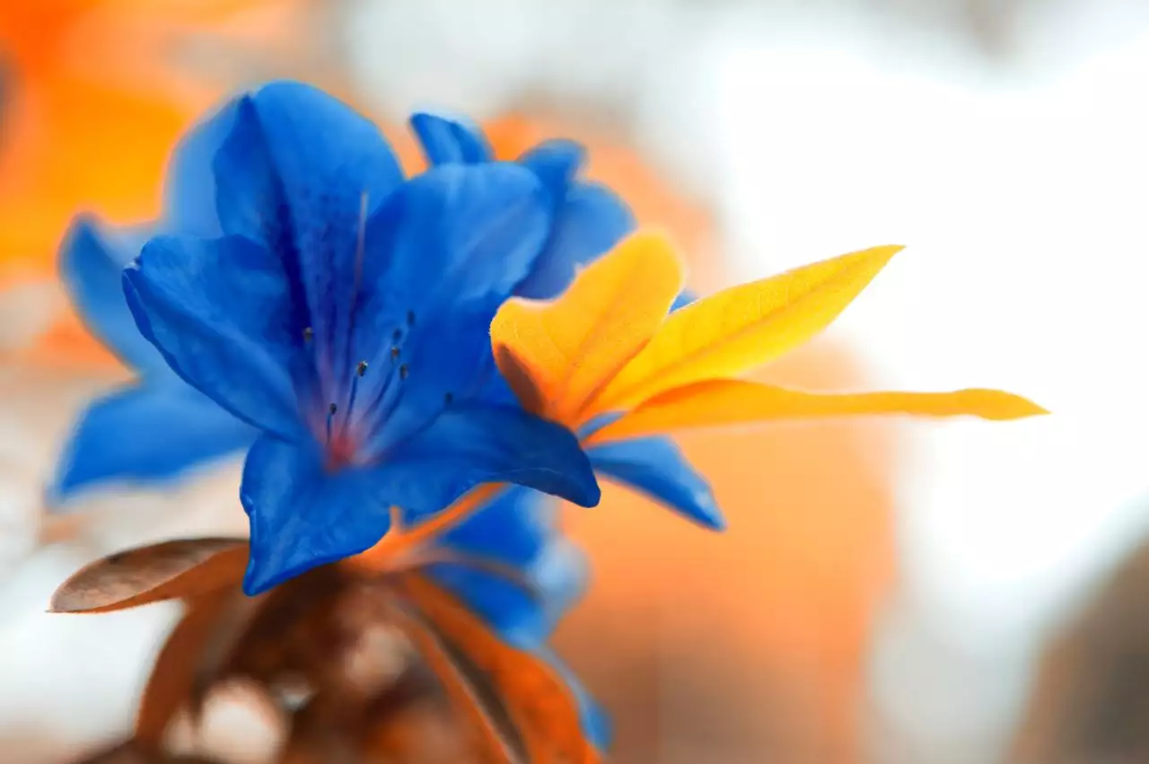 b超有两点基本是男孩 怀孕如何判断男女宝宝