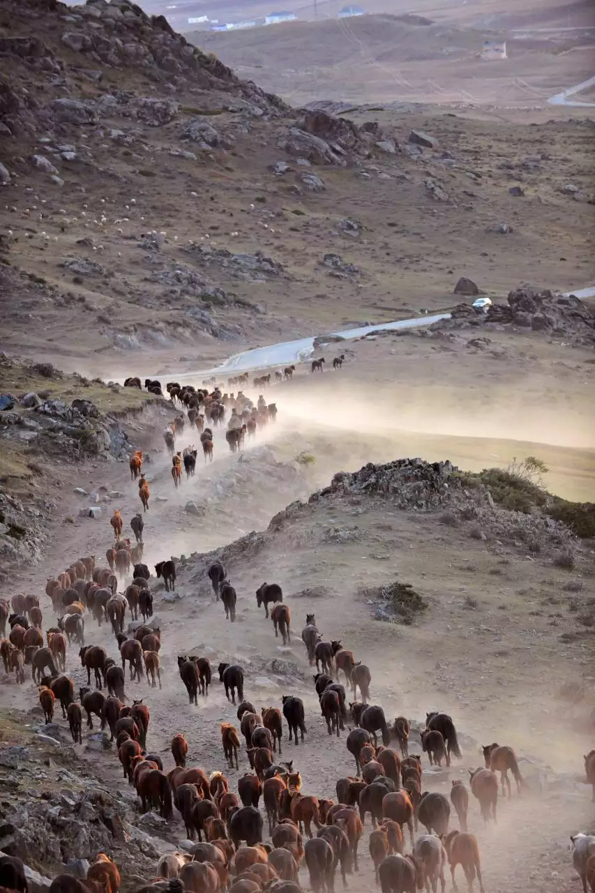 0年属马32岁有一劫