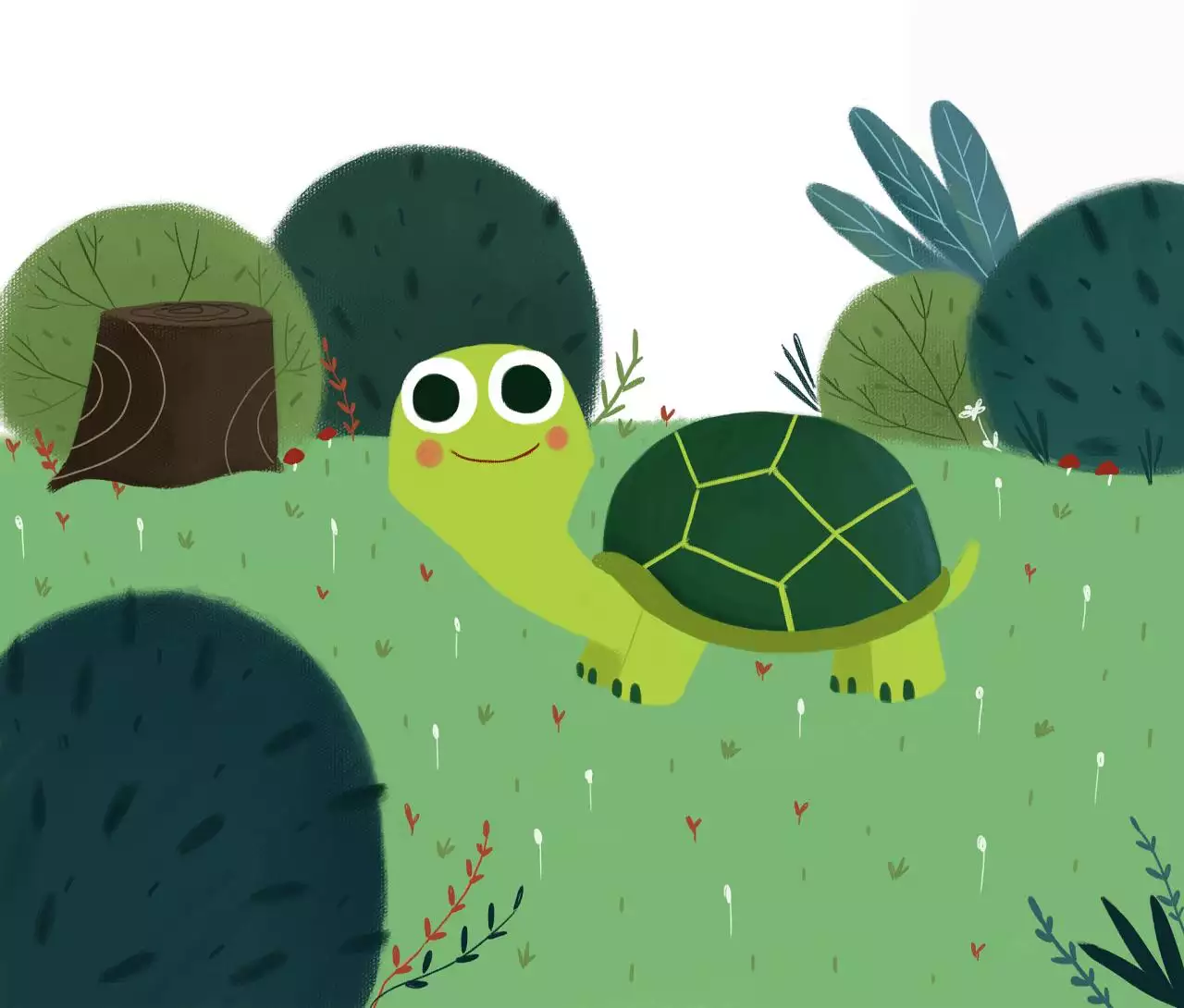 家里养龟十有哪些好处呢 家里养龟有什么好处?