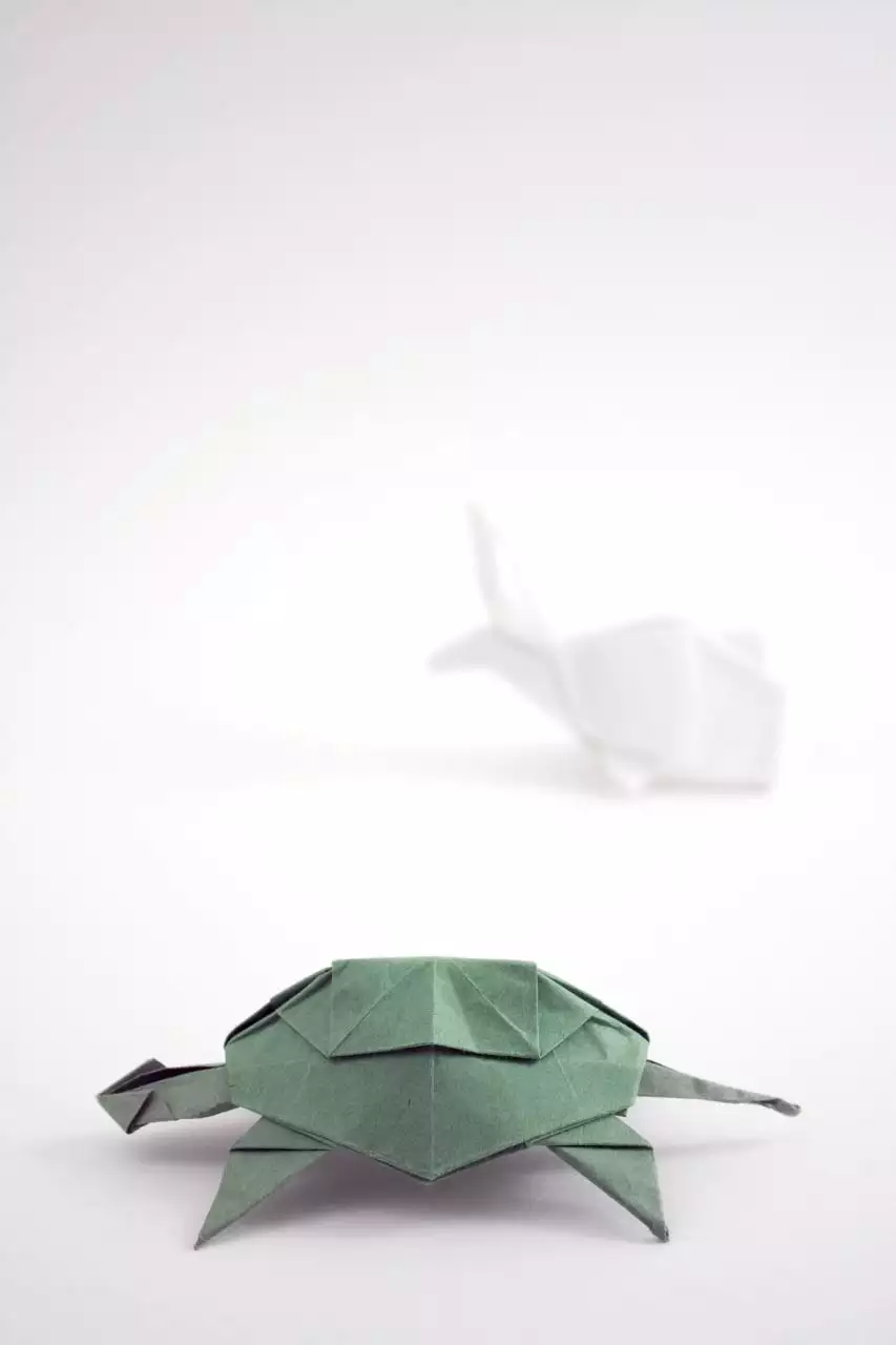 家里养龟有哪些忌讳呢 养乌龟的各种忌讳