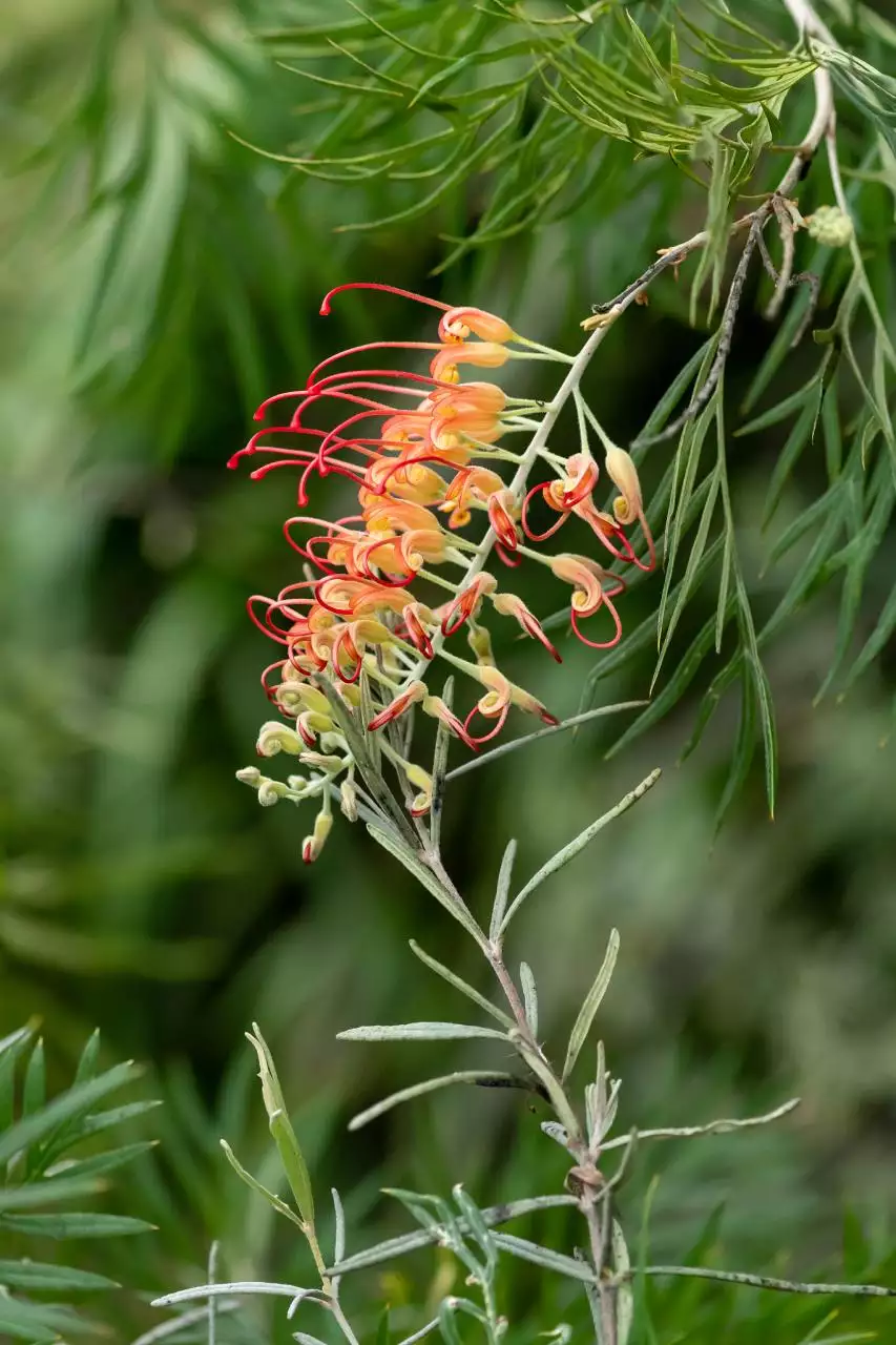 自动麻将机哪个位置旺 今天打麻将坐哪里能赢