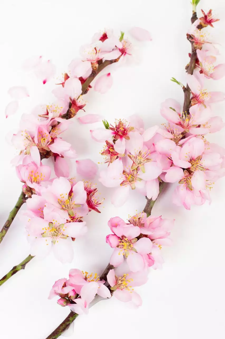 免费算生辰八字算命网站 免费生辰八字精准详批