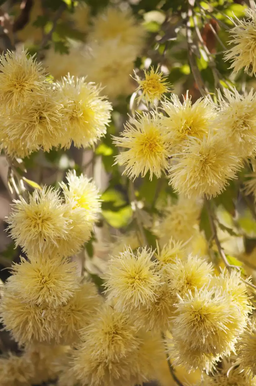 塔罗占卜最近有什么好运 塔罗占卜近期有什么好事