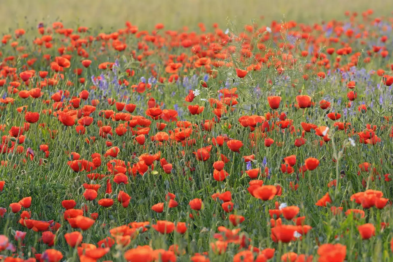 022年大运流年运程对照表