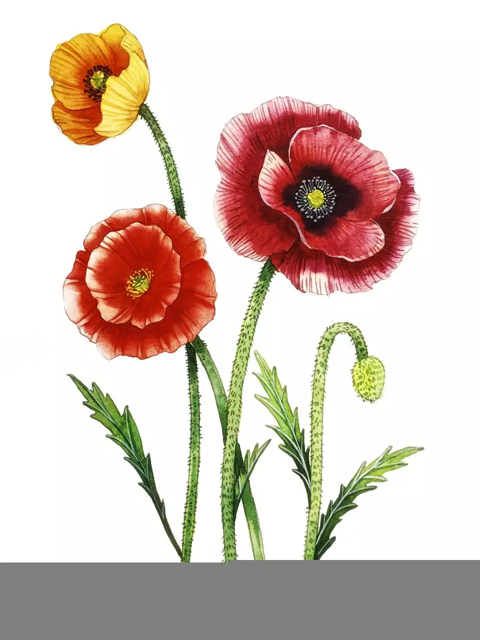 十年大运交运时间查询 免费查什么时候交运