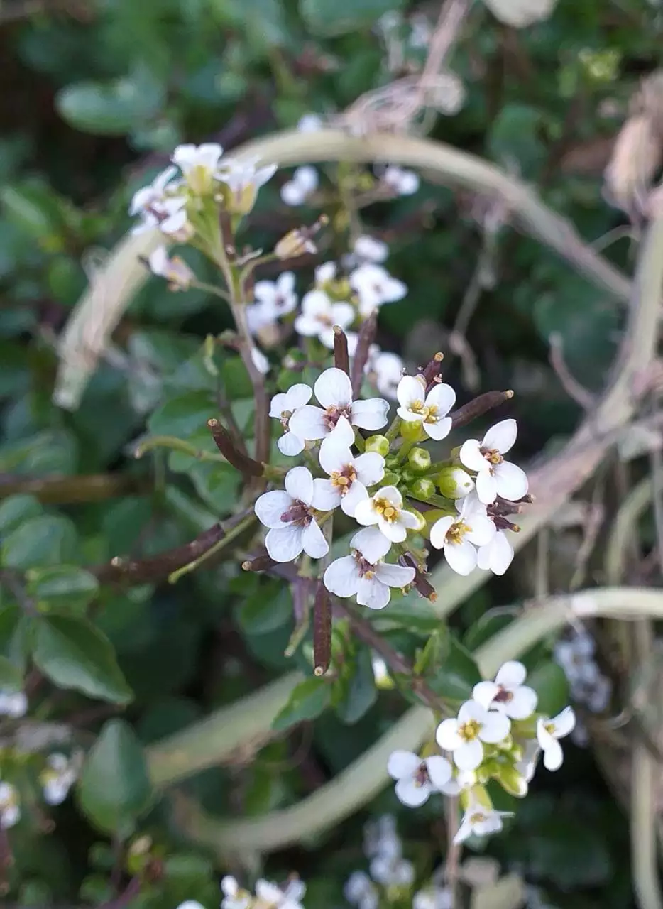 测婚姻最准的方法免费 免费测婚姻是否缘分已尽