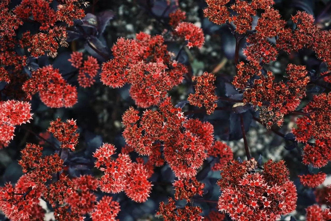 免费算婚姻八字合不合 免费查两个人生辰八字合不合