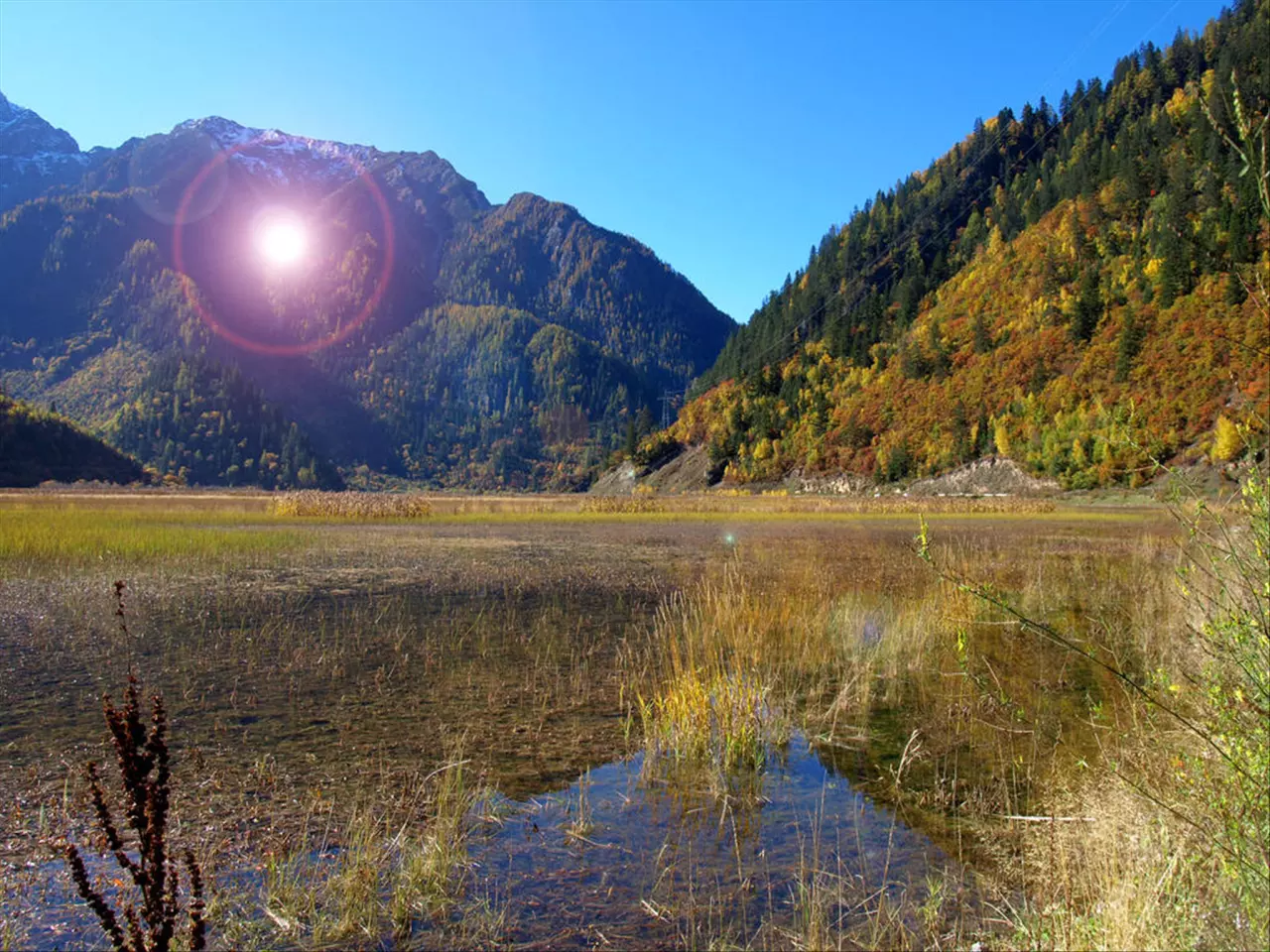 中华周易免费算命网站大全 八卦命理查询