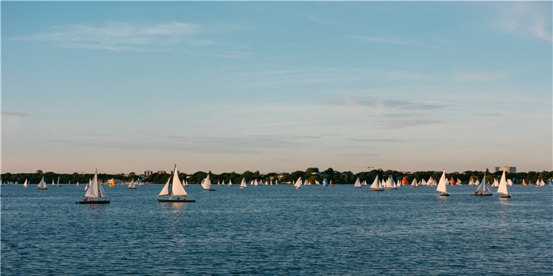 2021年8月属猪人结婚好不好,宜嫁娶黄道吉日