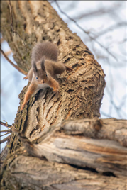 2生肖下周运势播报