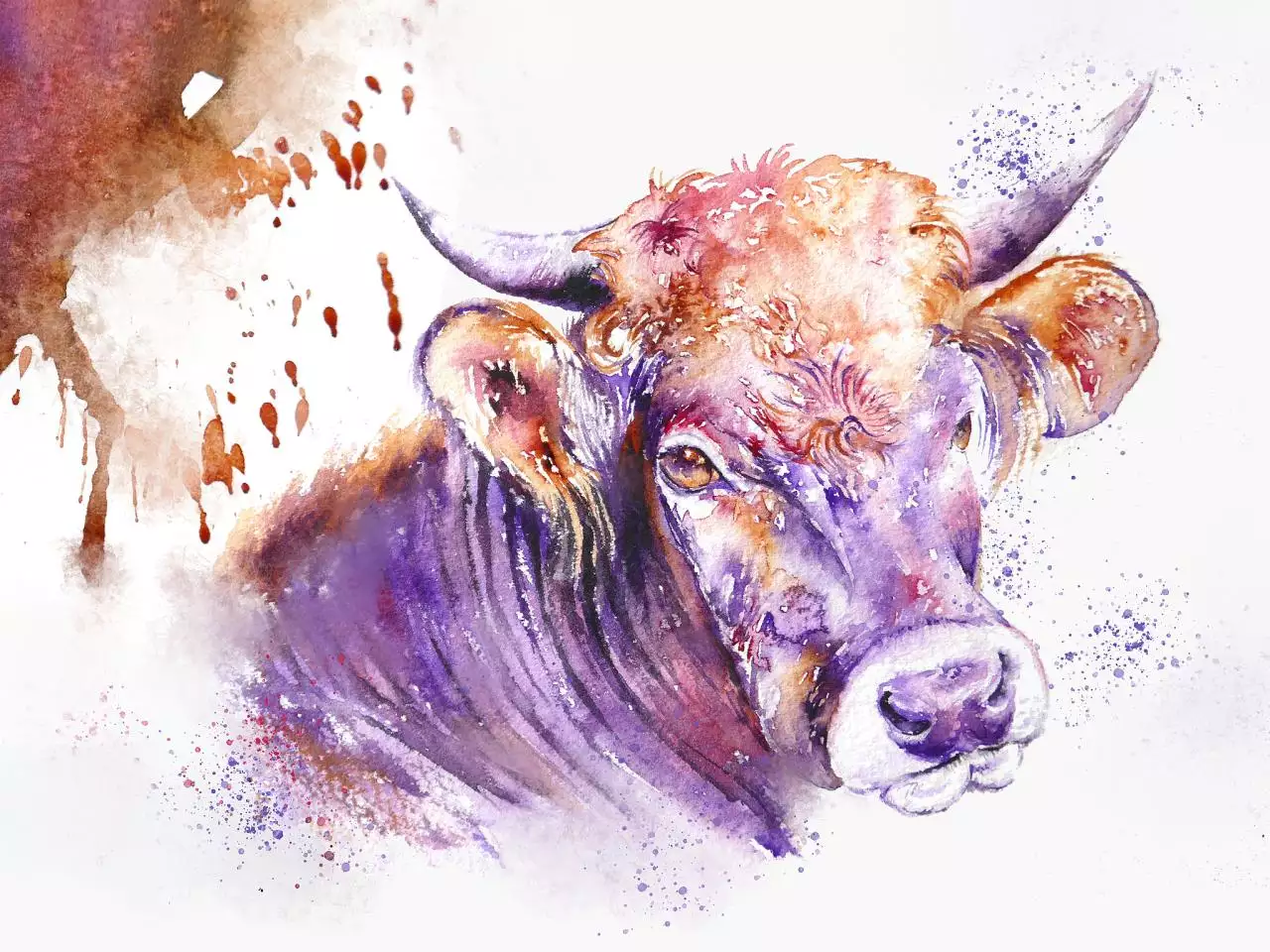 属相算命2022年运势 易经测算生辰八字